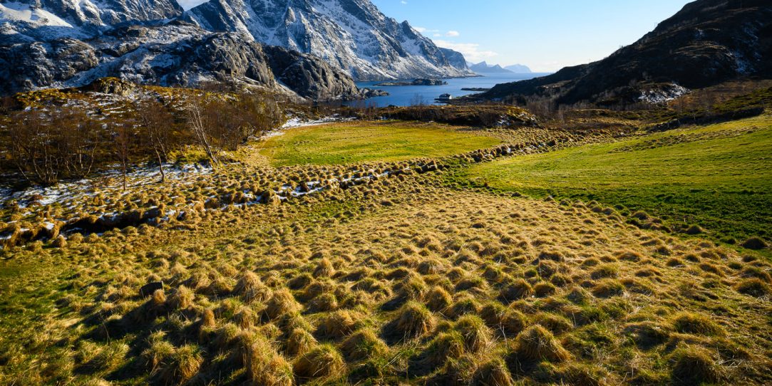 Raking the Grass in Lofoten