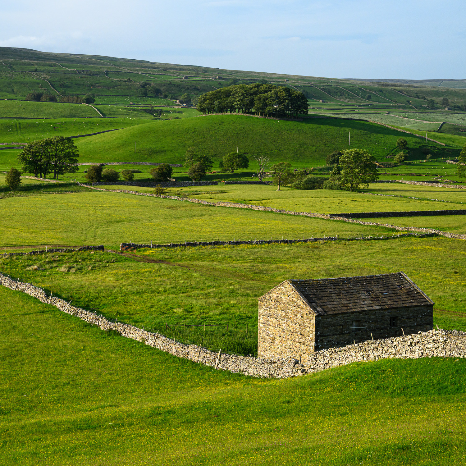 A Sunny Day in Yorkshire