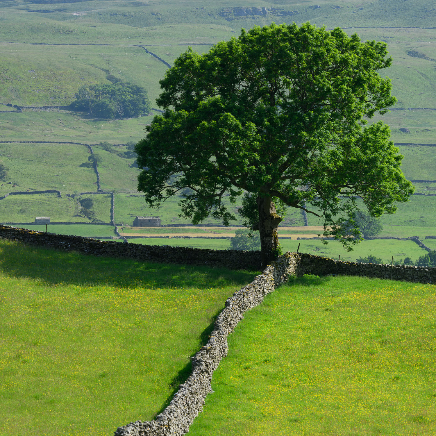Yorkshire Day 5