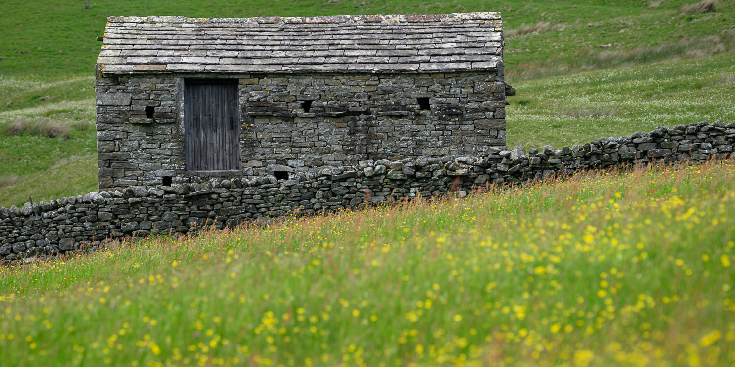 Buttercup Barn