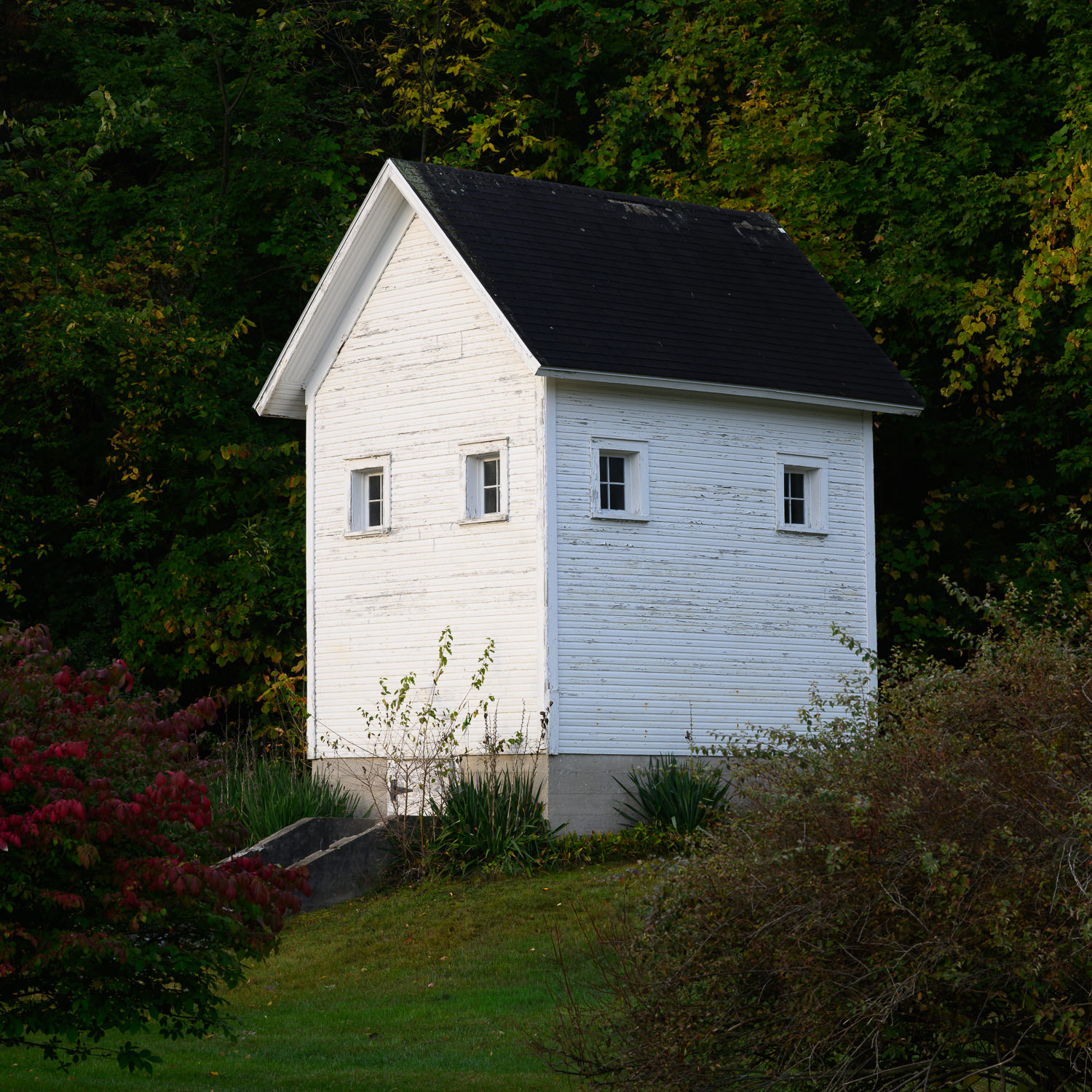 Michigan Barns