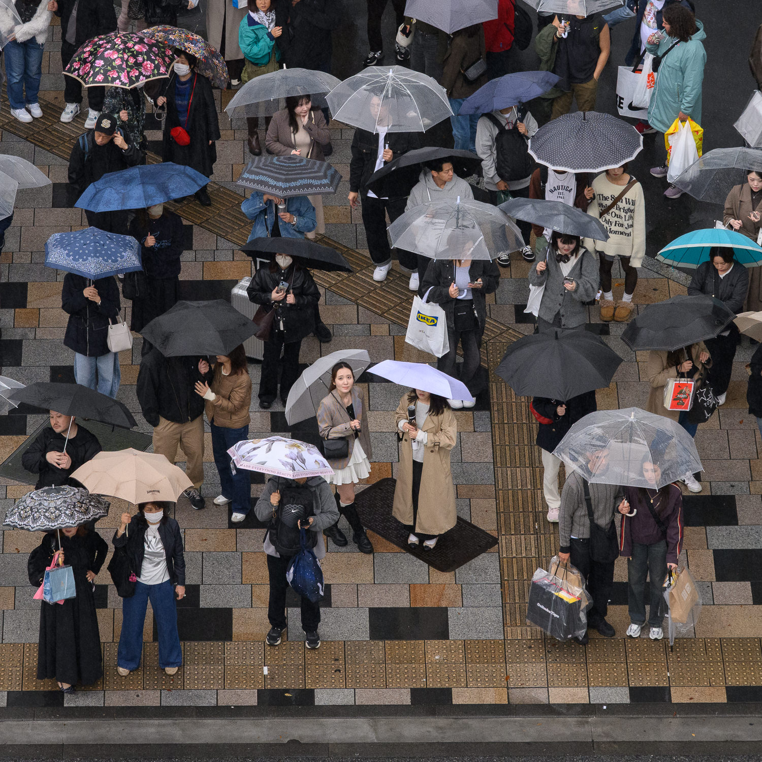 A Sprinkling of Shibuya