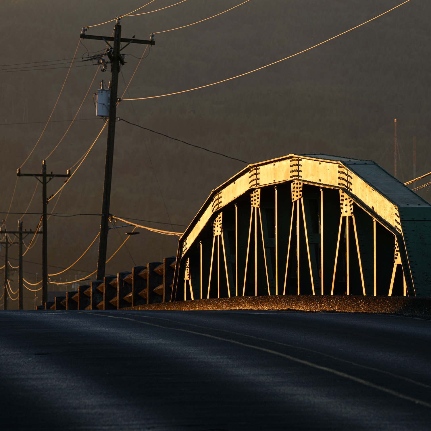 Oregon Eclectica